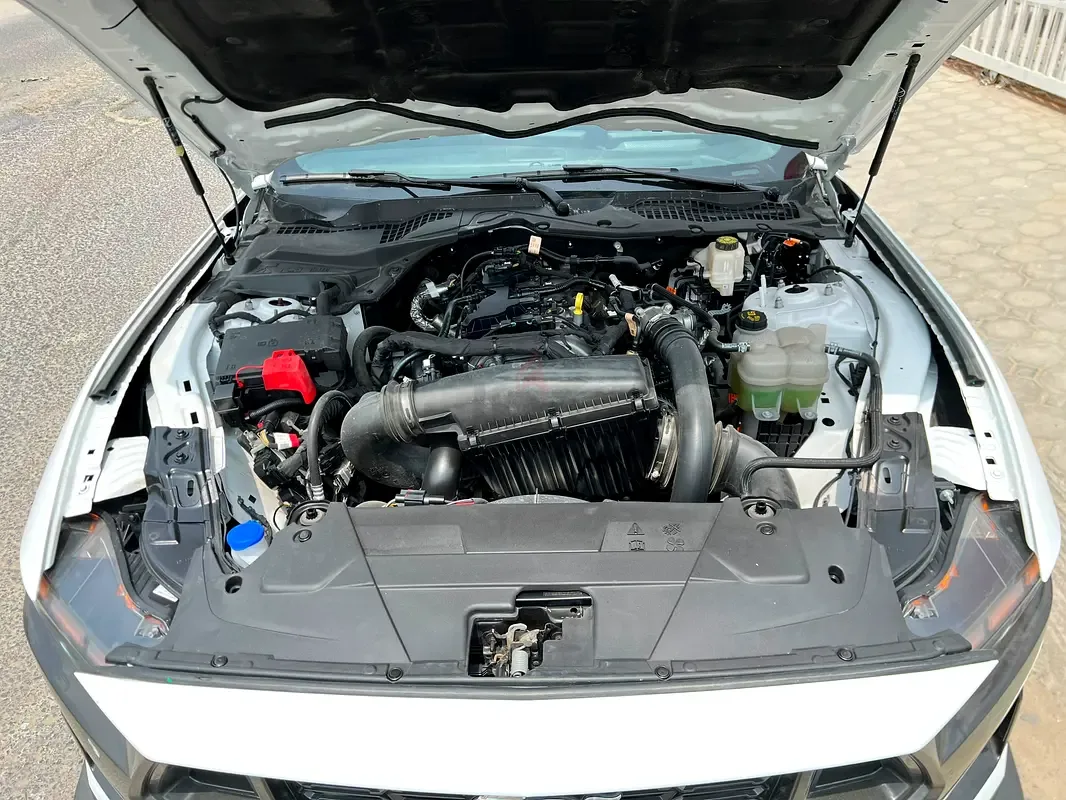 Ford Mustang 2.3 AT (319 حصان) - 7