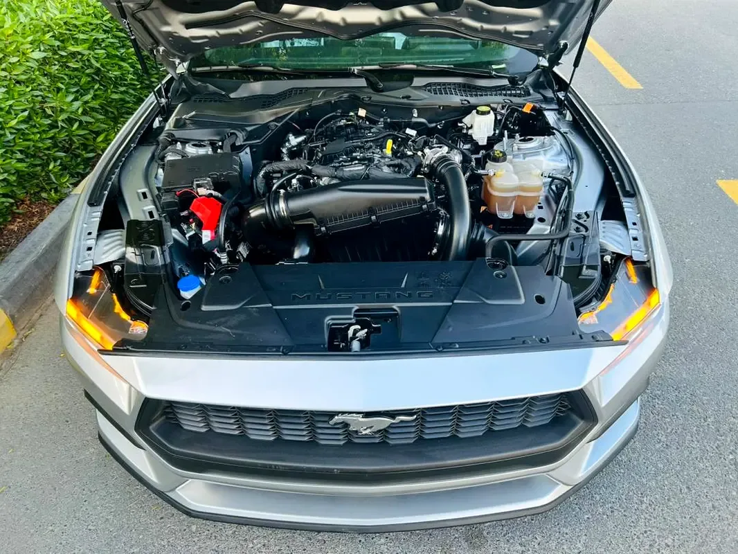 Ford Mustang 2.3 AT (319 حصان) - 14