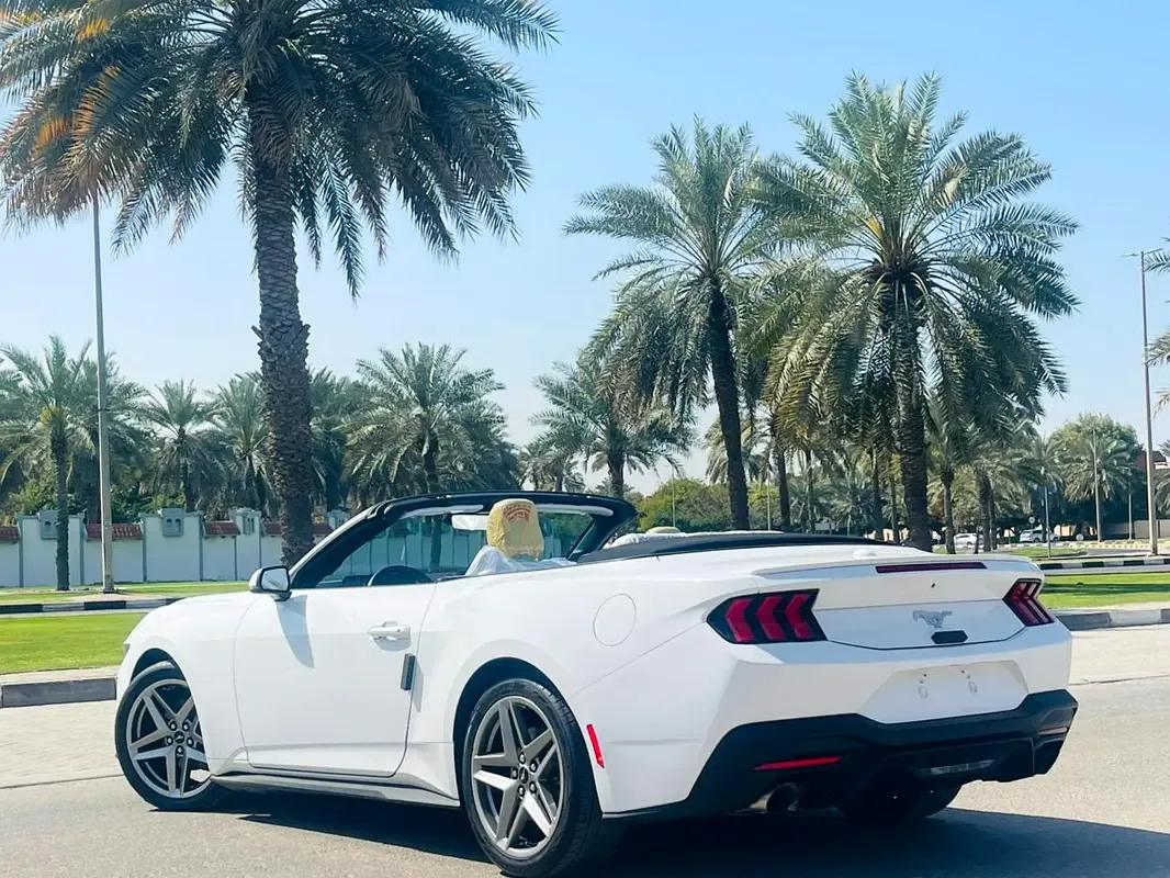 Ford Mustang 2.3 AT (319 hp) - 4