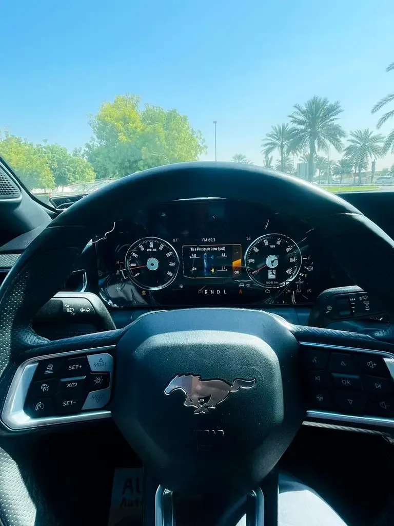 Ford Mustang 2.3 AT (319 hp) - 10