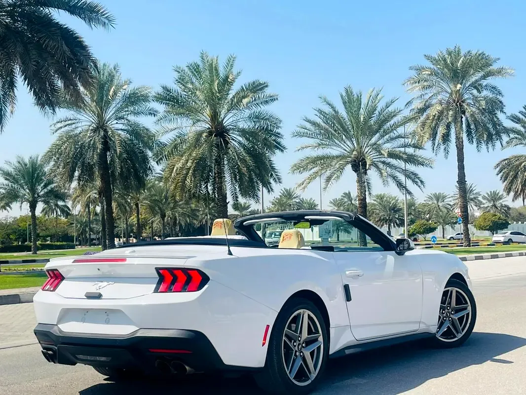 Ford Mustang 2.3 AT (319 hp) - 8