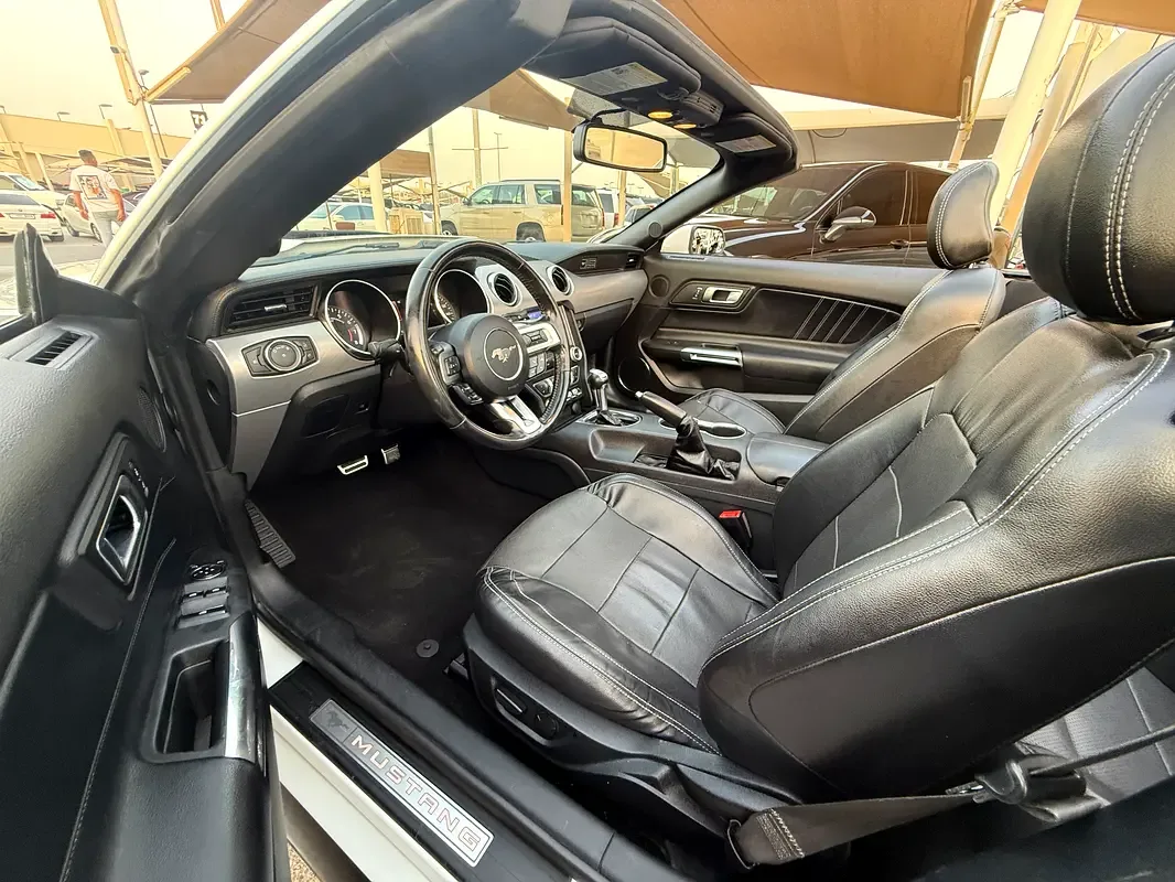 Ford Mustang 2.3 EcoBoost AT (290 hp) - 14