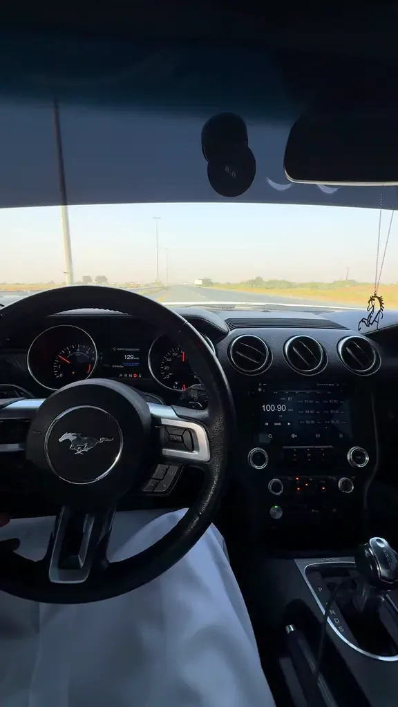 Ford Mustang 2.3 EcoBoost AT (290 hp) - 3