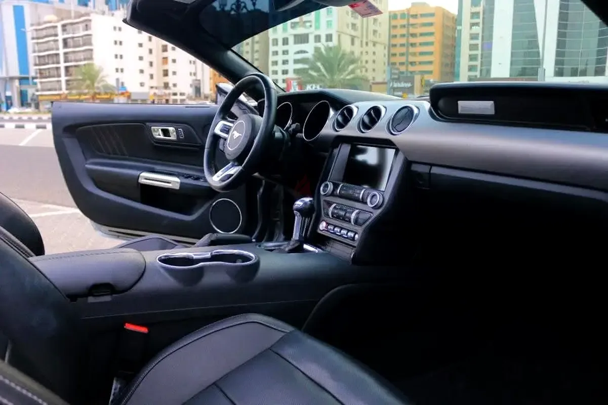 Ford Mustang 2.3 EcoBoost AT (290 hp) - 9