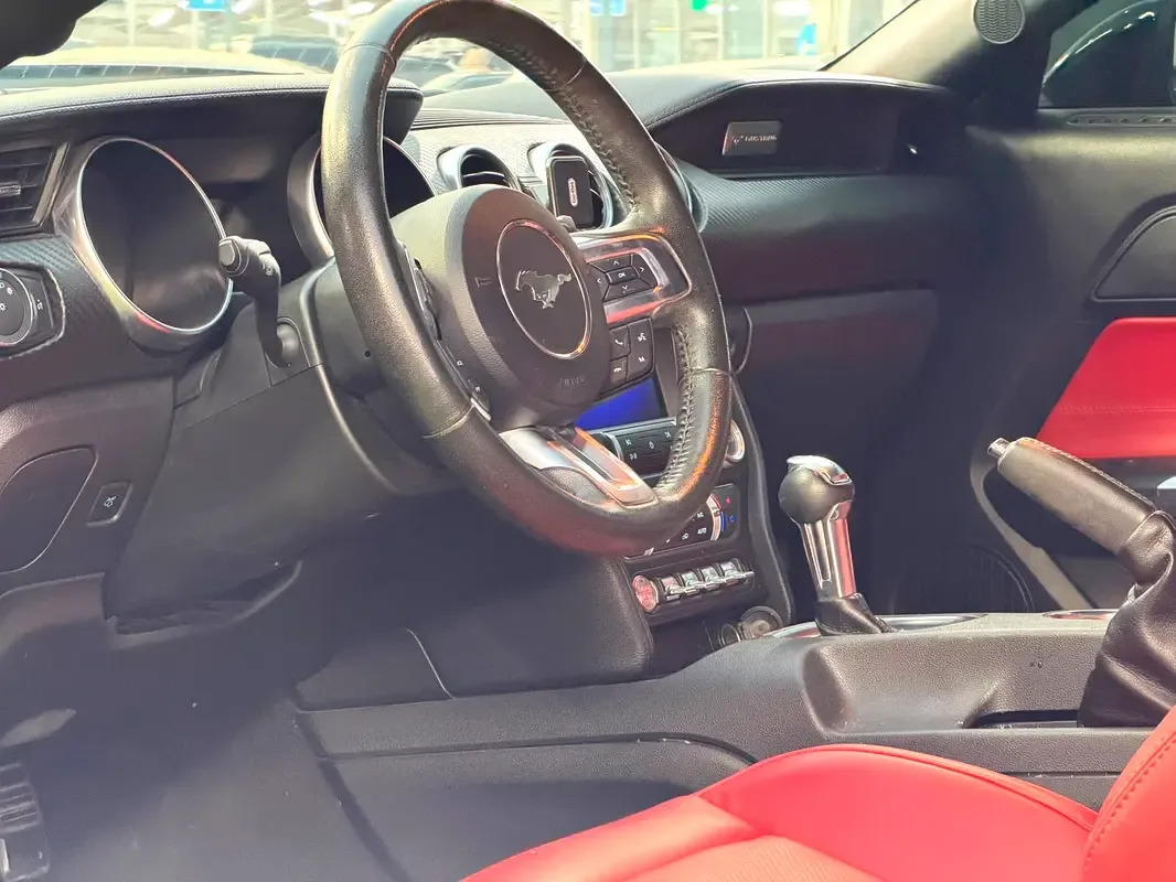 Ford Mustang 2.3 EcoBoost AT (290 حصان) - 8