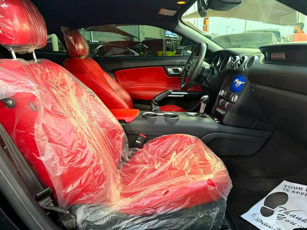 Ford Mustang 2.3 EcoBoost AT (290 حصان) - 12