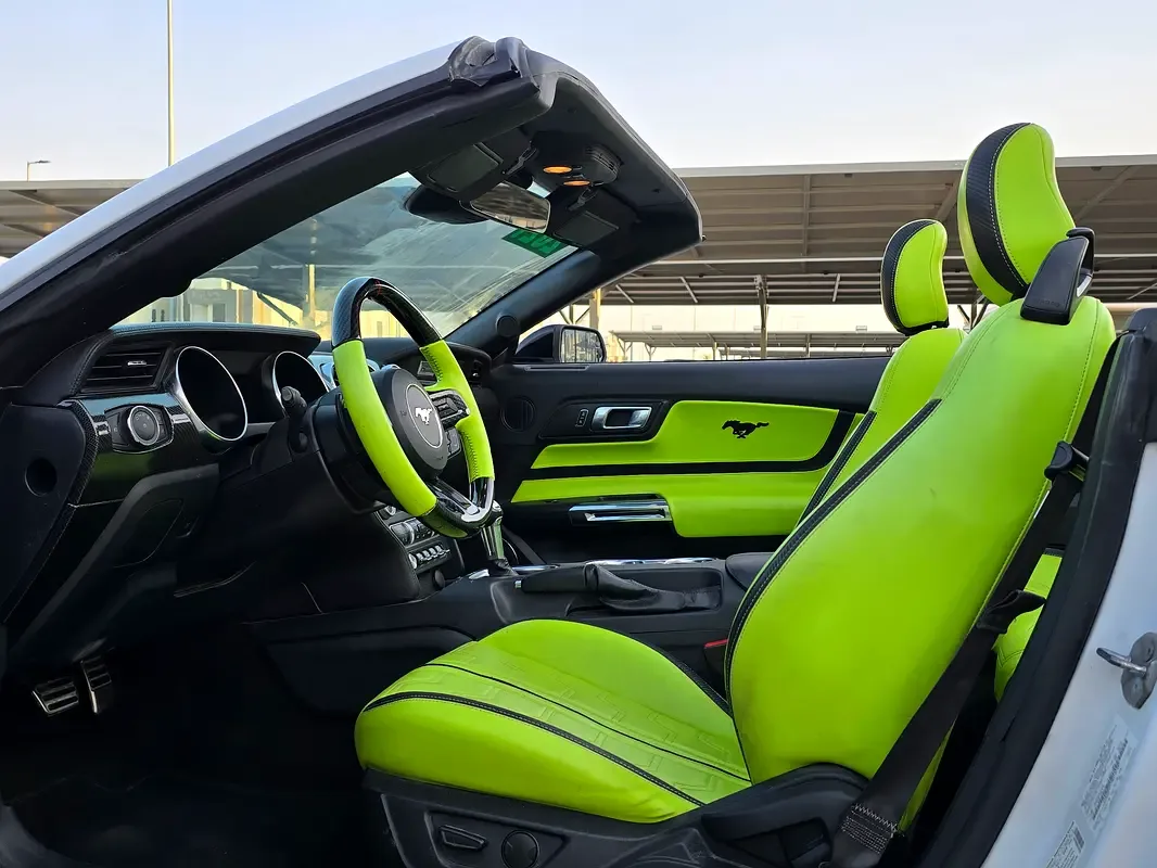 Ford Mustang 2.3 EcoBoost AT (290 hp) - 10