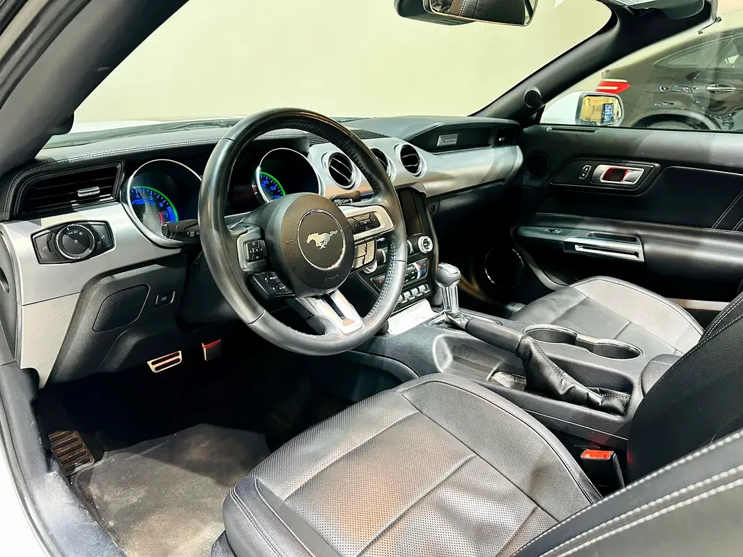 Ford Mustang 2.3 EcoBoost AT (290 حصان) - 16