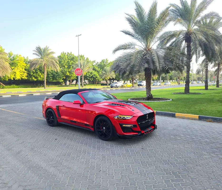 Ford Mustang 2.3 EcoBoost AT (290 hp) - 2