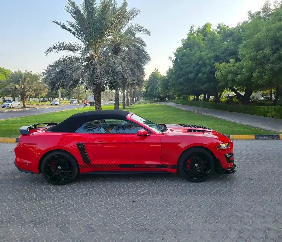 Ford Mustang 2.3 EcoBoost AT (290 hp) - 5