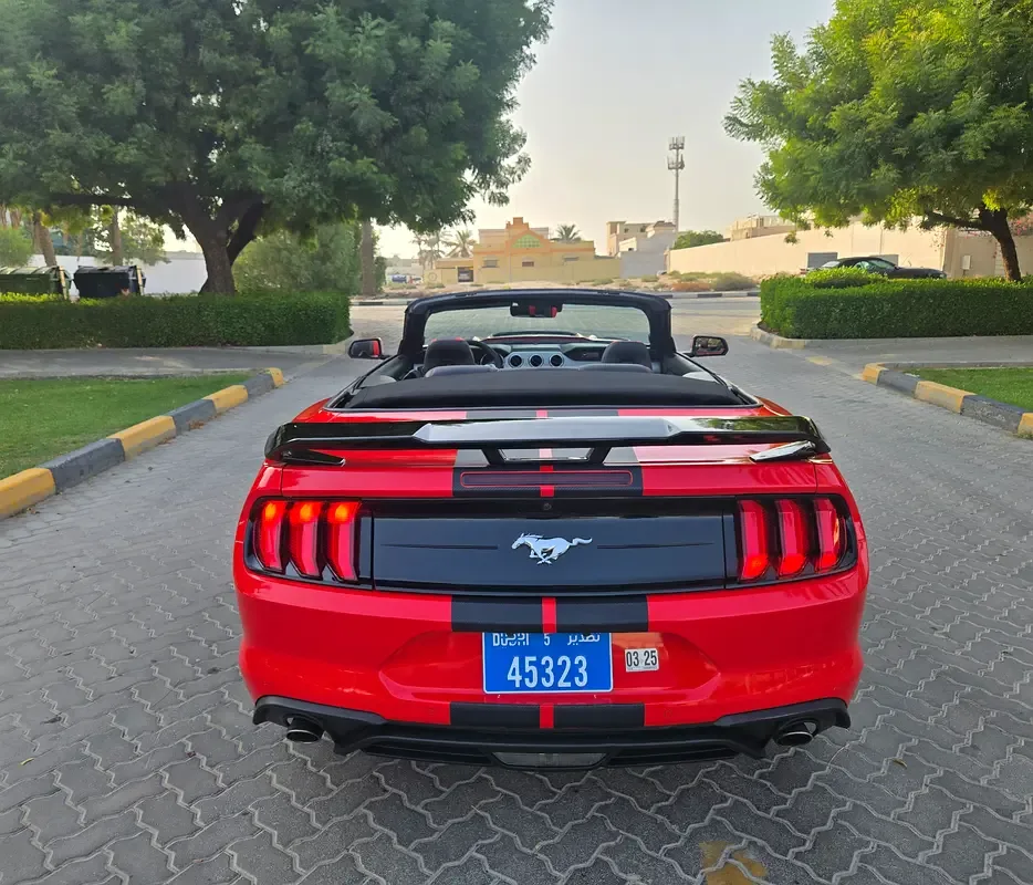 Ford Mustang 2.3 EcoBoost AT (290 hp) - 13