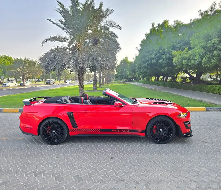 Ford Mustang 2.3 EcoBoost AT (290 hp) - 15