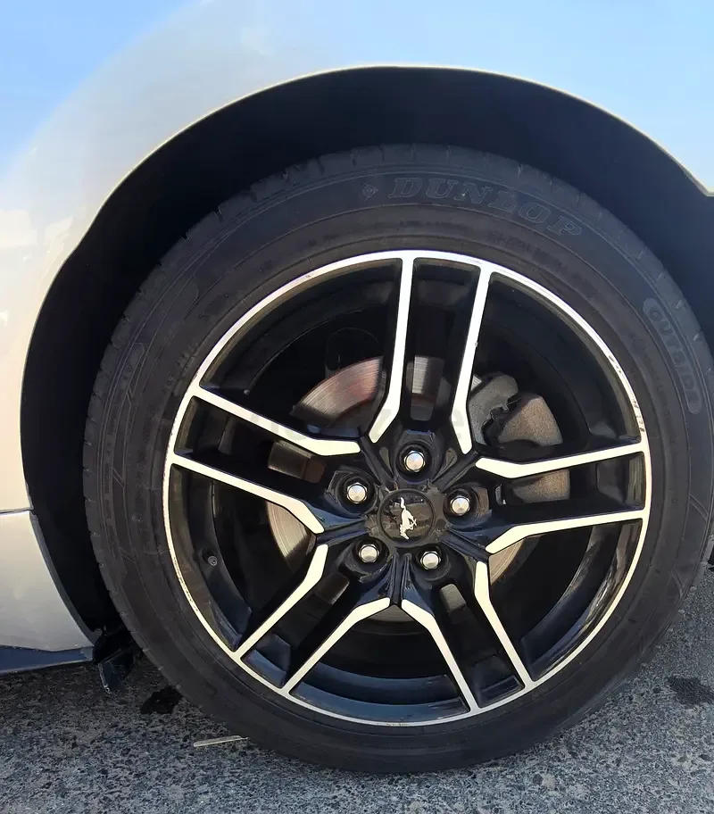 Ford Mustang 2.3 EcoBoost AT (290 حصان) - 17
