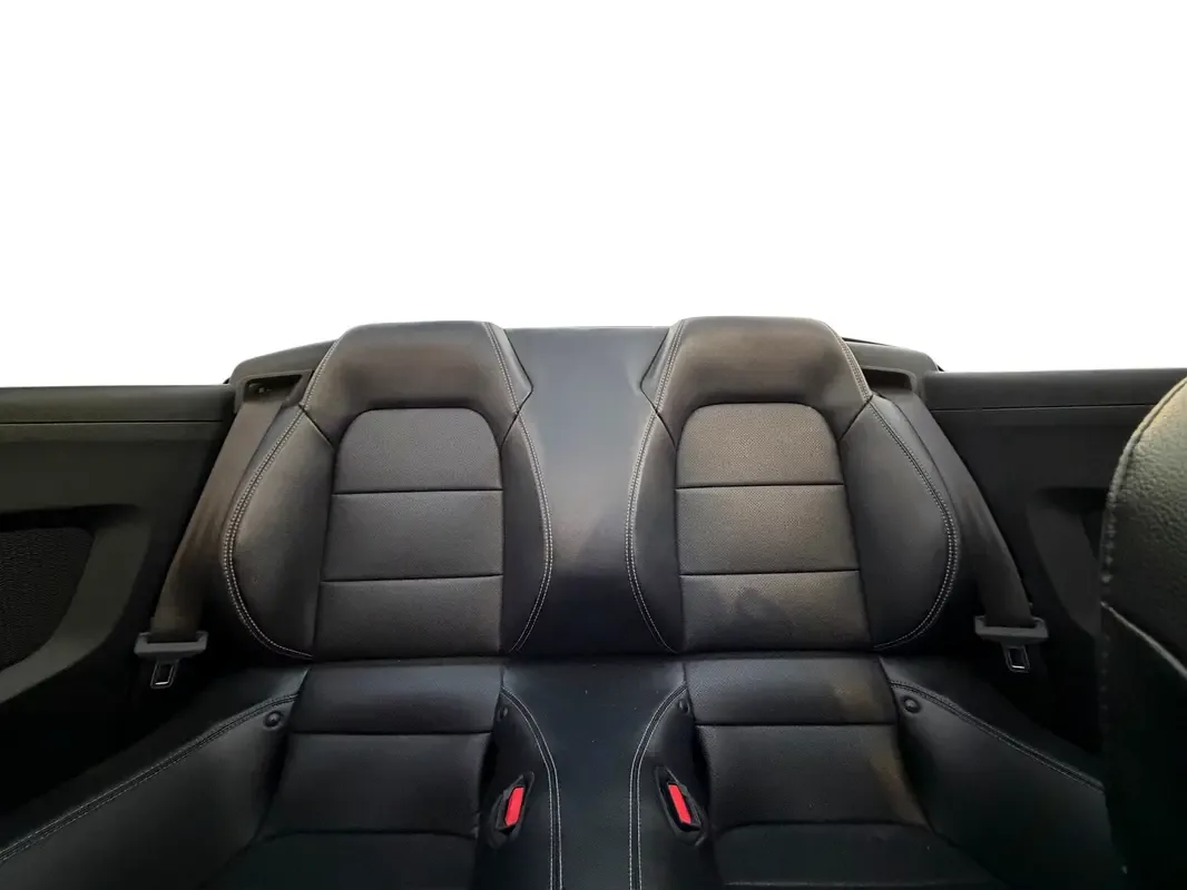 Ford Mustang 2.3 EcoBoost AT (290 حصان) - 20