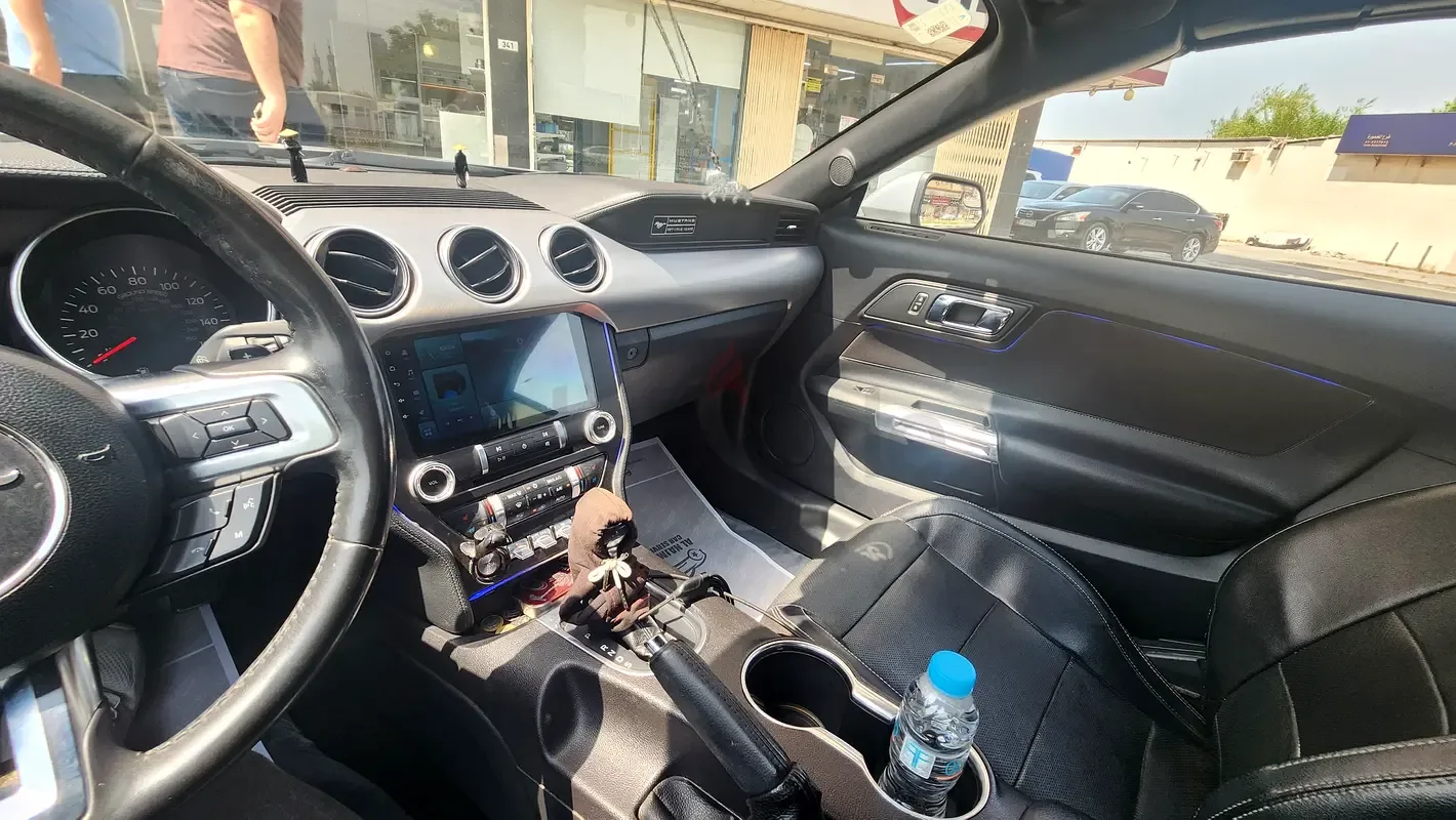 Ford Mustang 2.3 EcoBoost AT (290 hp) - 10