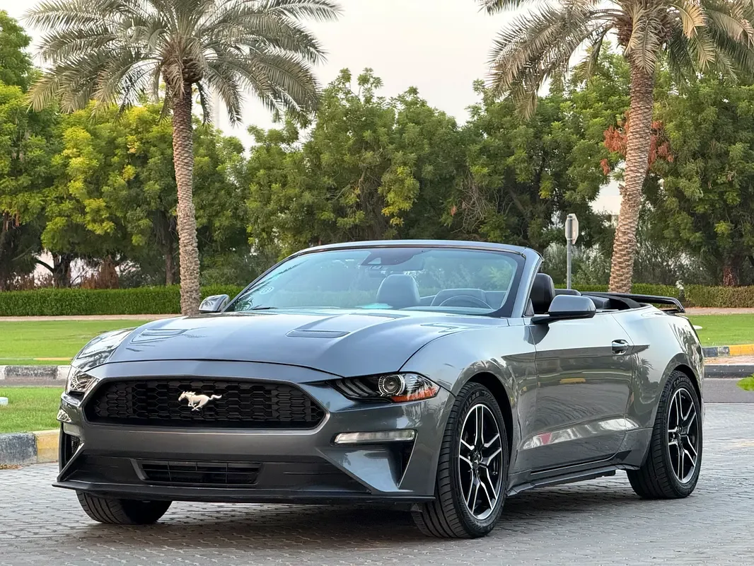 Ford Mustang 2.3 EcoBoost AT (290 حصان) - 4