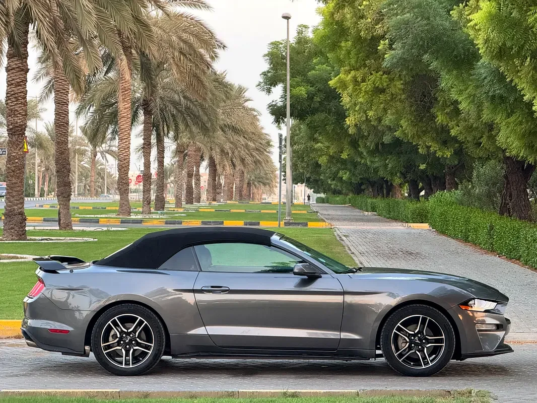 Ford Mustang 2.3 EcoBoost AT (290 حصان) - 6