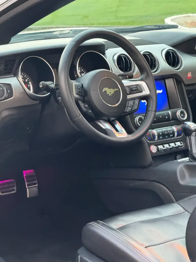 Ford Mustang 2.3 EcoBoost AT (290 حصان) - 15