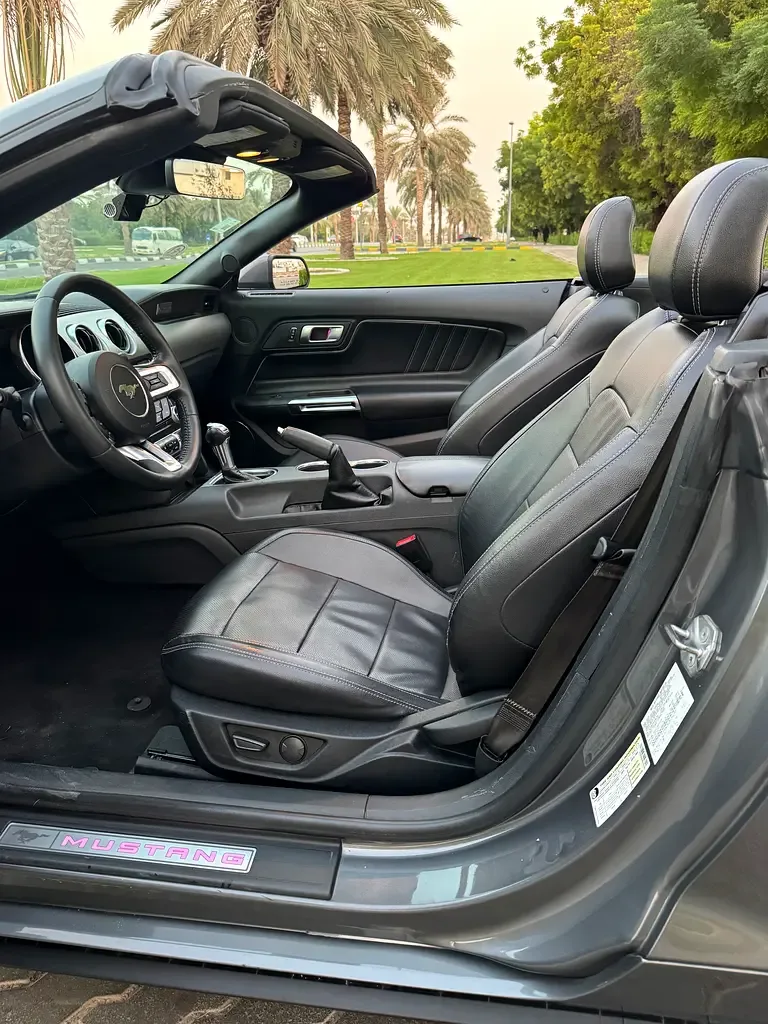 Ford Mustang 2.3 EcoBoost AT (290 حصان) - 17