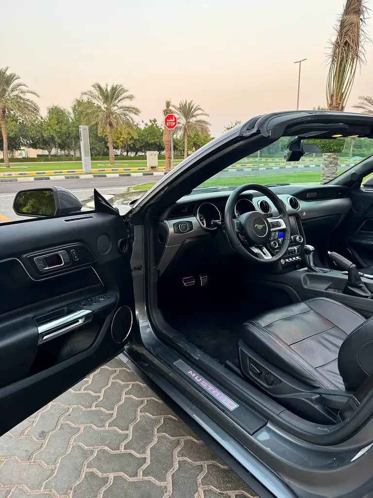 Ford Mustang 2.3 EcoBoost AT (290 حصان) - 16