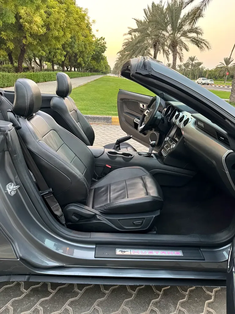 Ford Mustang 2.3 EcoBoost AT (290 حصان) - 19