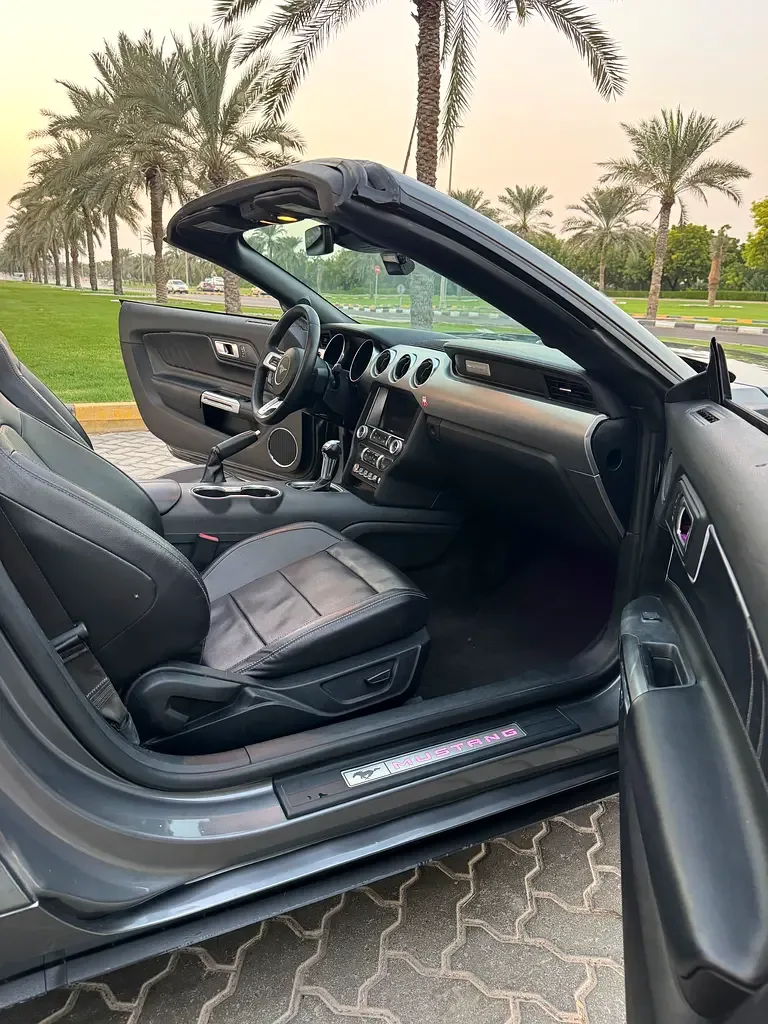 Ford Mustang 2.3 EcoBoost AT (290 حصان) - 18