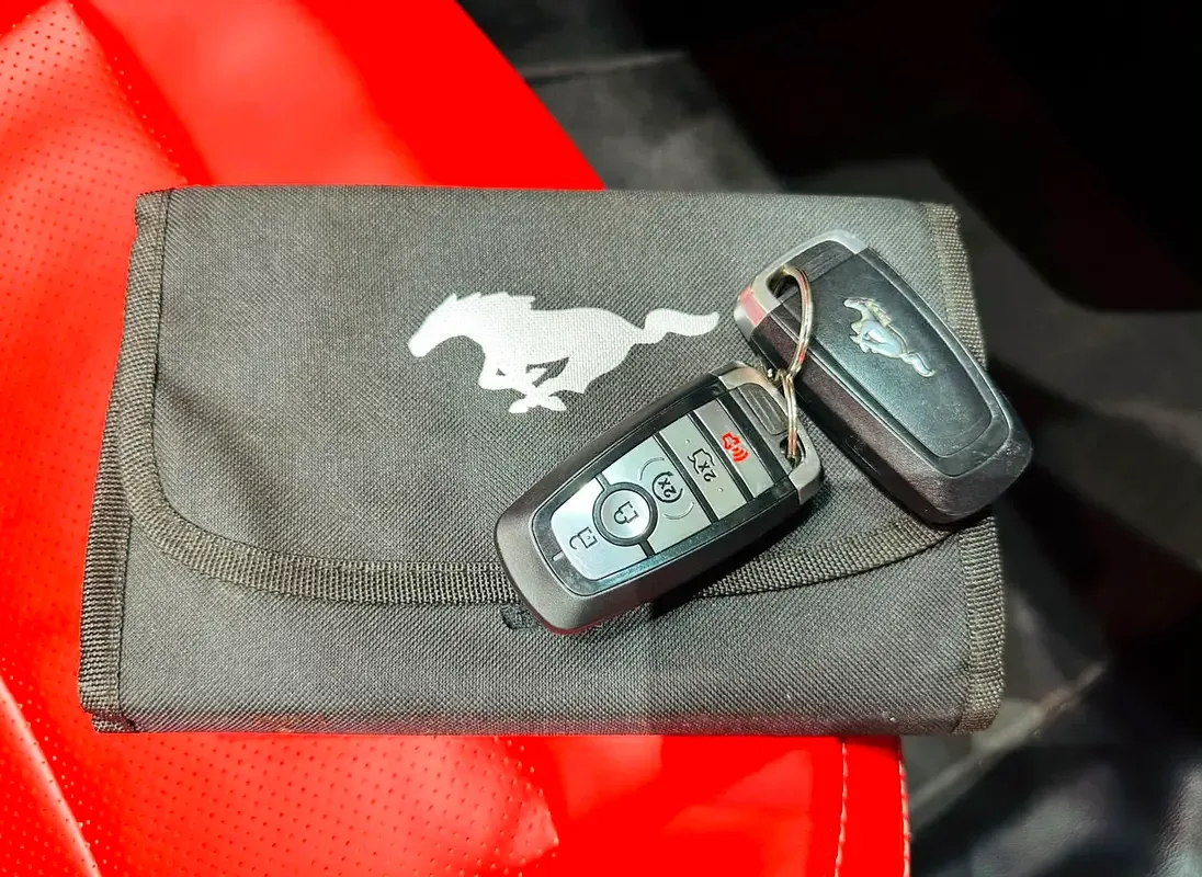 Ford Mustang 2.3 EcoBoost AT (290 حصان) - 12