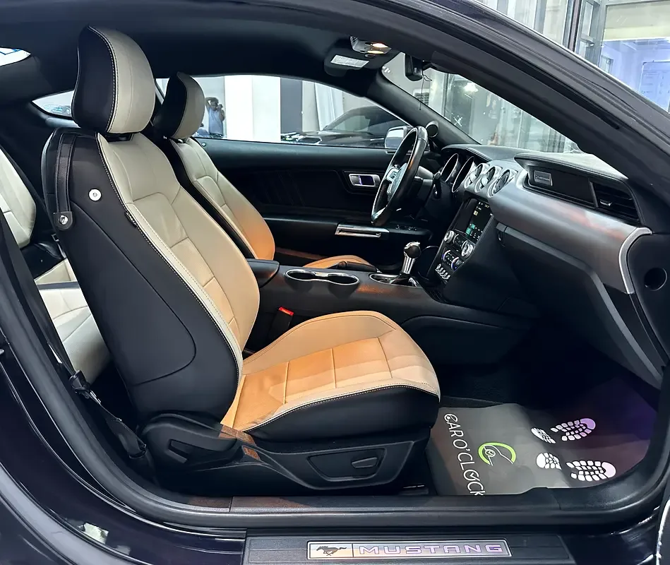 Ford Mustang 2.3 EcoBoost AT (290 hp) - 14
