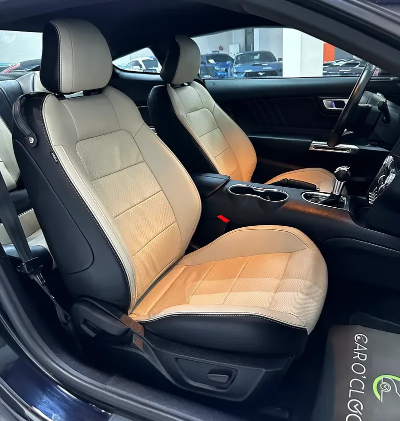 Ford Mustang 2.3 EcoBoost AT (290 hp) - 15