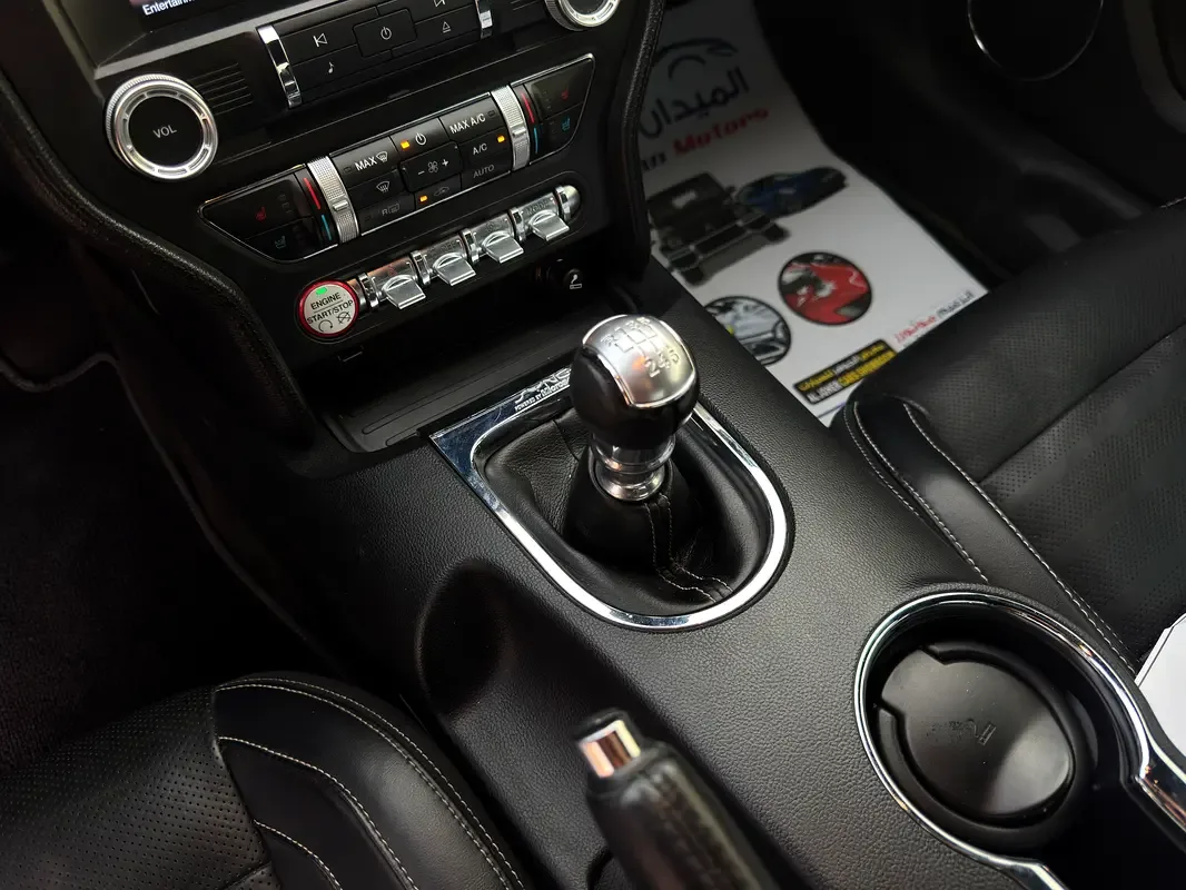 Ford Mustang 2.3 MT (317 حصان) - 9