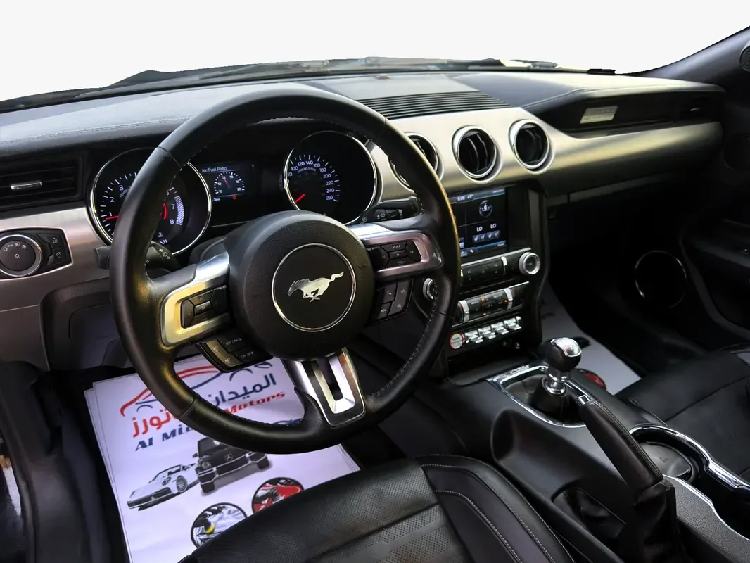 Ford Mustang 2.3 MT (317 حصان) - 18