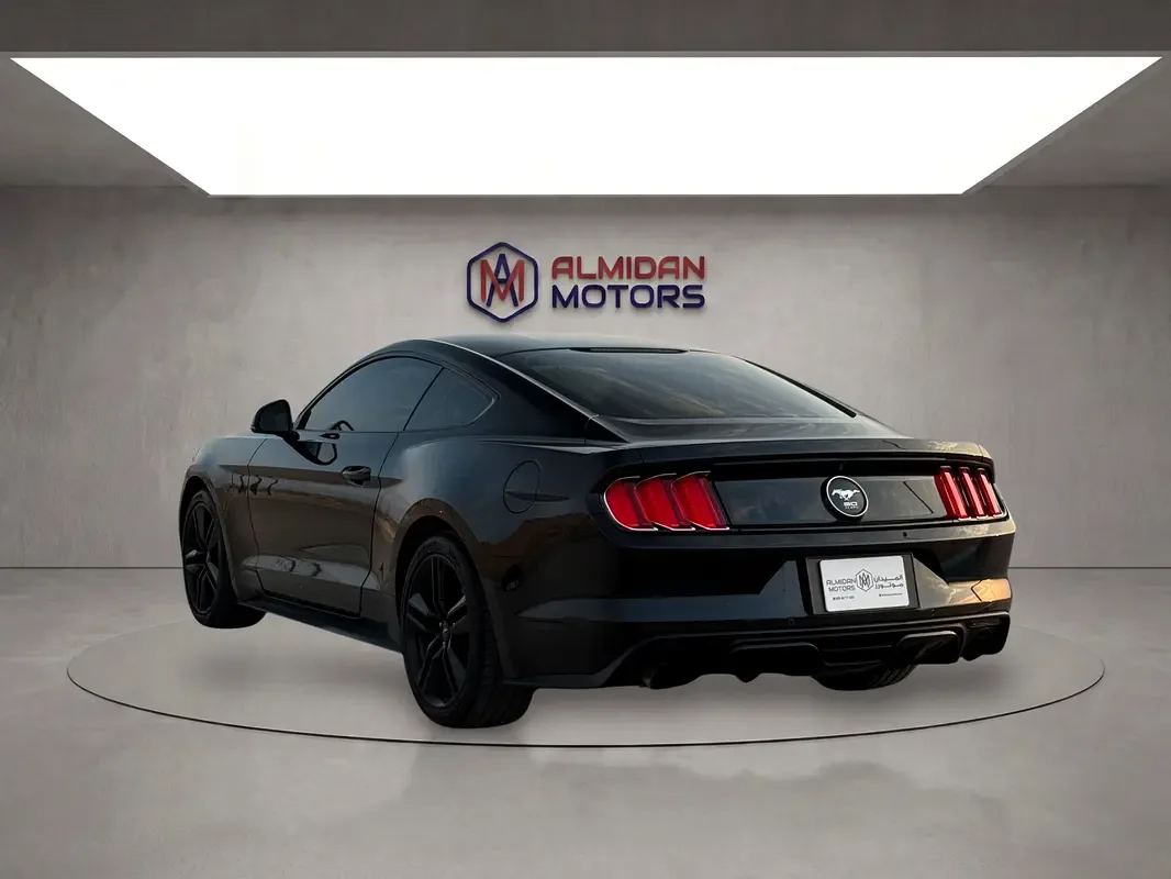 Ford Mustang 2.3 MT (317 حصان) - 17