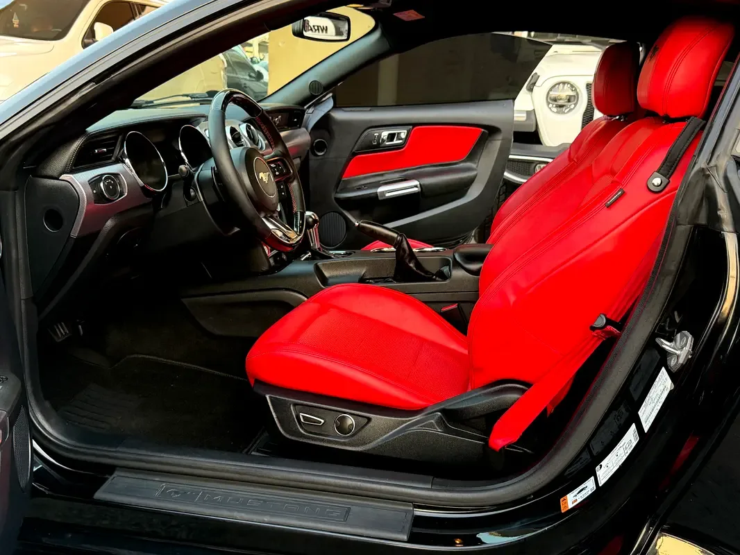 Ford Mustang 5.0 AT (441 hp) - 14