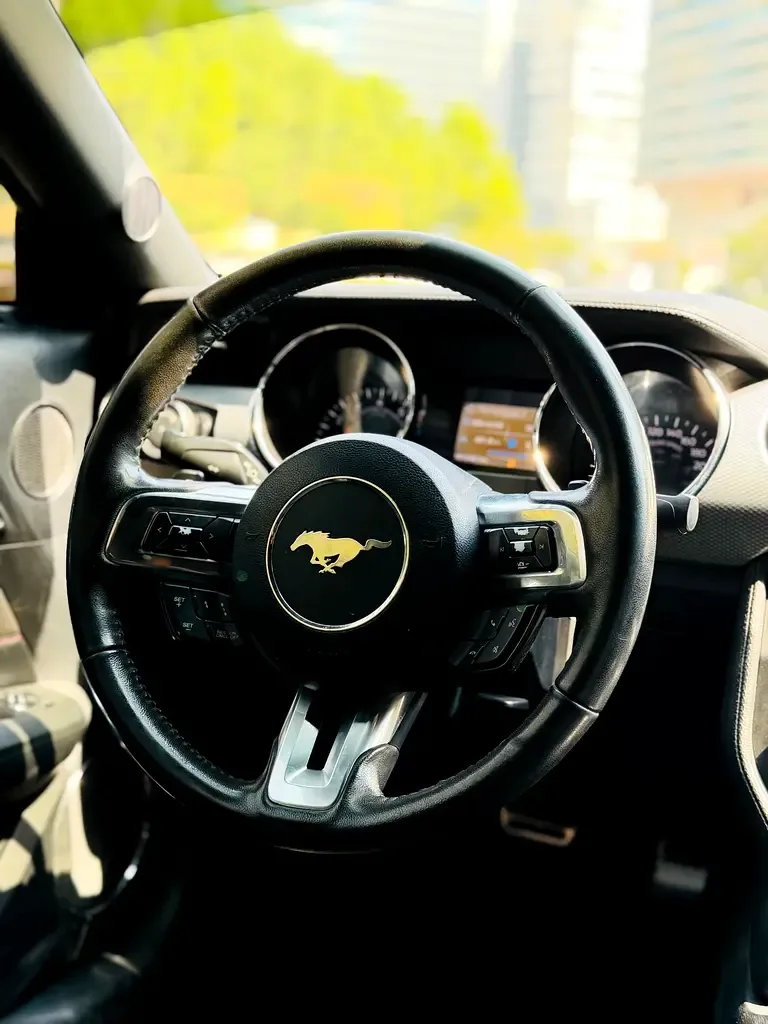 Ford Mustang 5.0 AT (441 hp) - 10