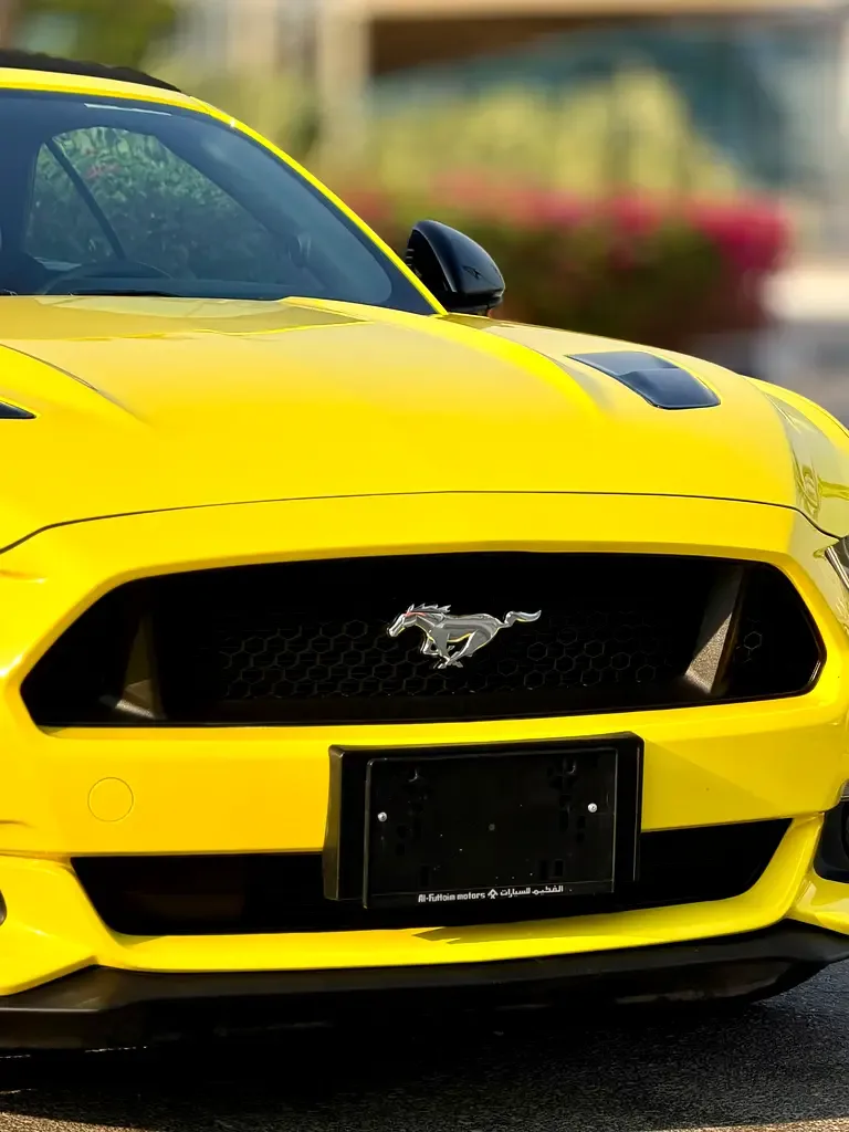 Ford Mustang 5.0 AT (441 حصان) - 9