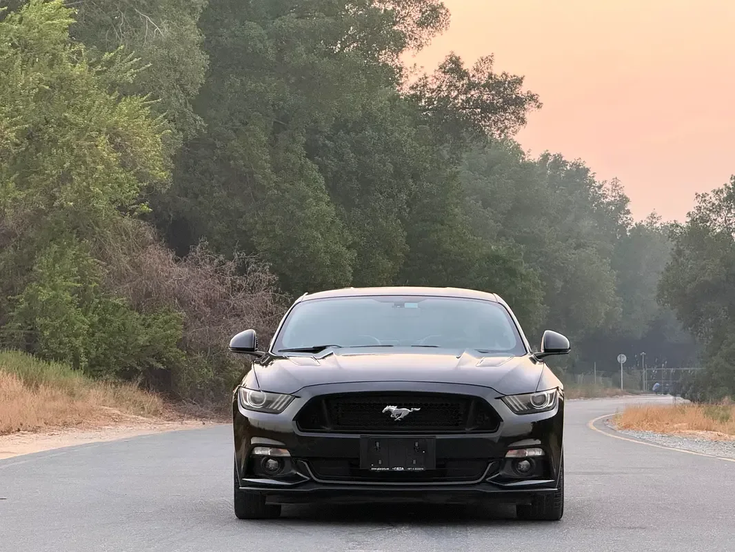 Ford Mustang 5.0 MT (441 حصان) - 2