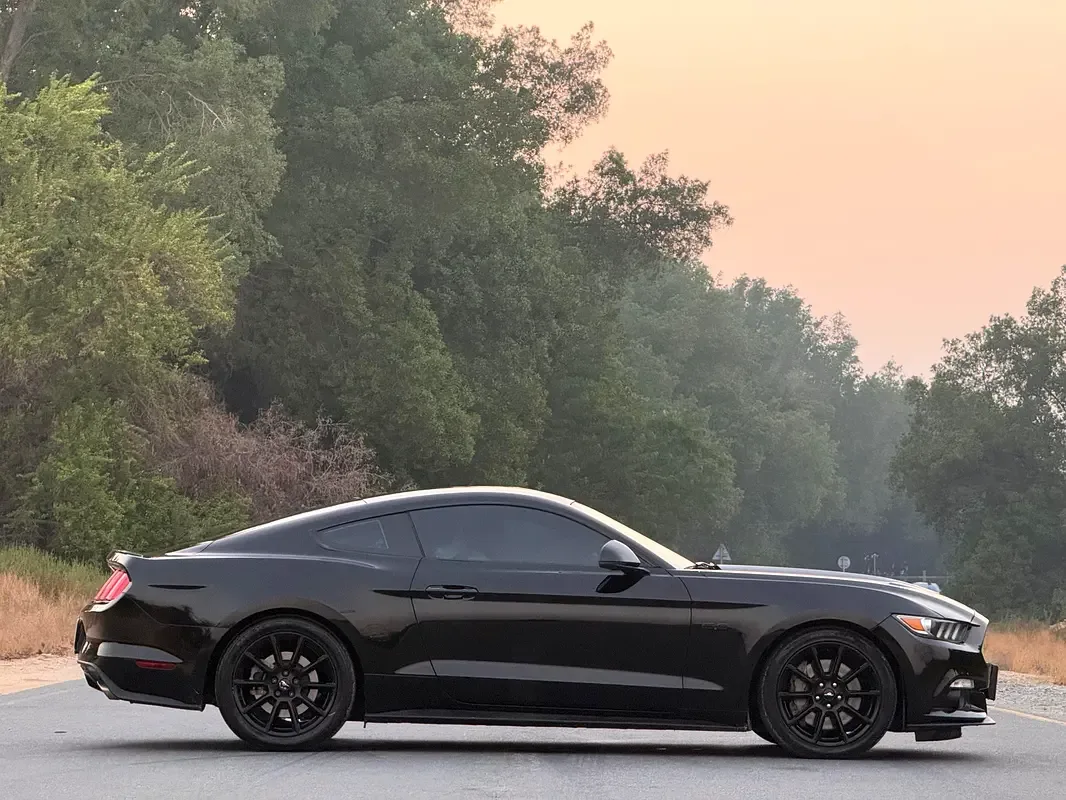 Ford Mustang 5.0 MT (441 حصان) - 3