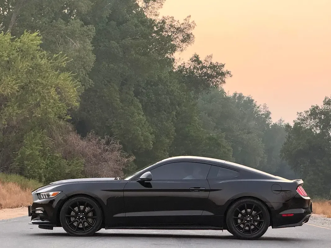 Ford Mustang 5.0 MT (441 حصان) - 6
