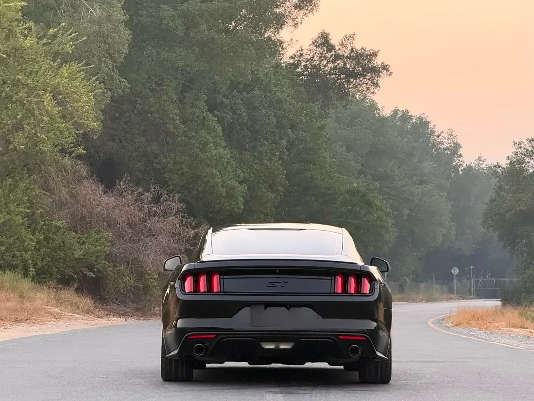 Ford Mustang 5.0 MT (441 حصان) - 4