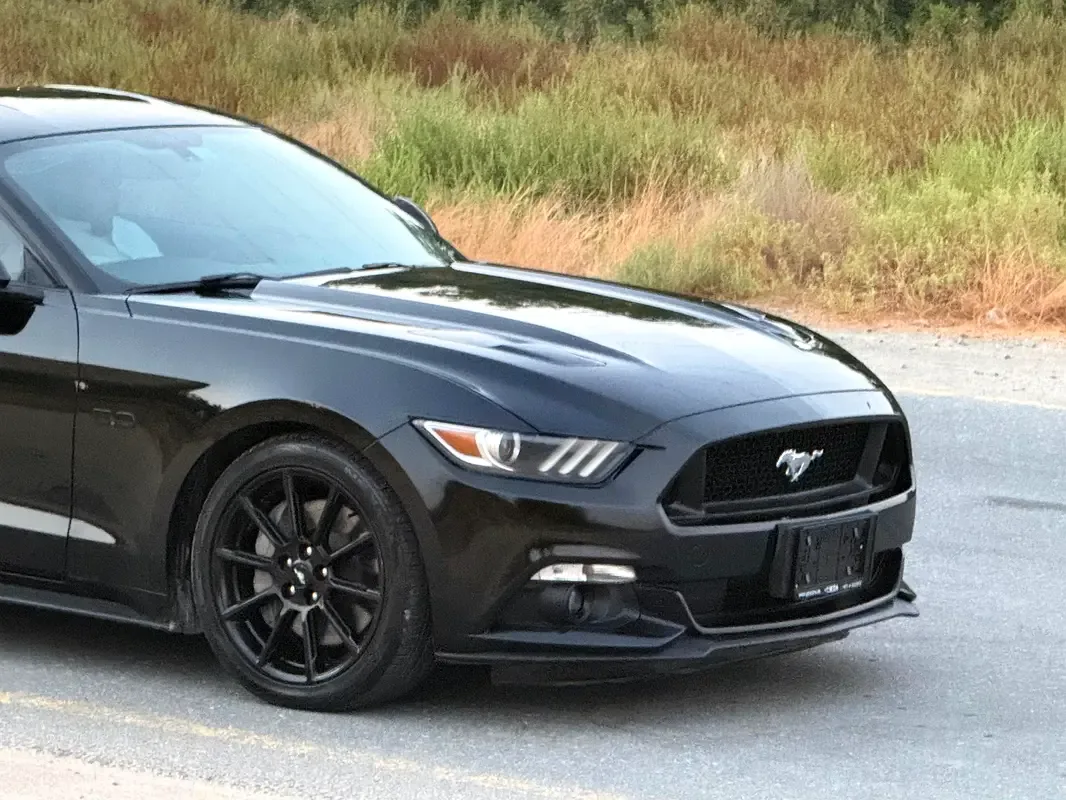 Ford Mustang 5.0 MT (441 حصان) - 8