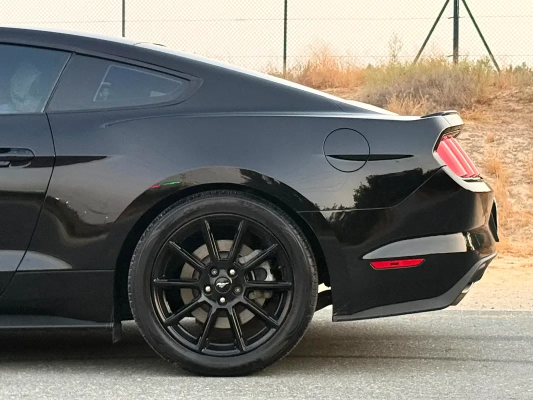 Ford Mustang 5.0 MT (441 حصان) - 9