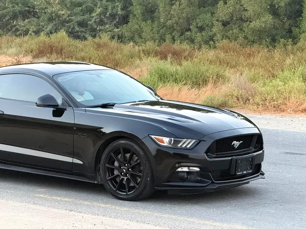 Ford Mustang 5.0 MT (441 حصان) - 7