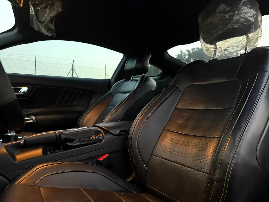 Ford Mustang 5.0 MT (441 حصان) - 15