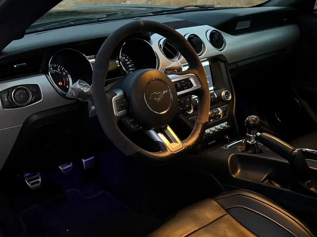 Ford Mustang 5.0 MT (441 حصان) - 18