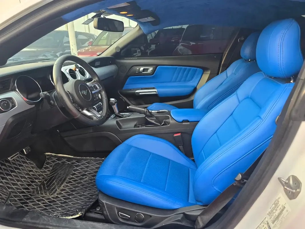 Ford Mustang GT 5.0 AT (466 hp) - 13