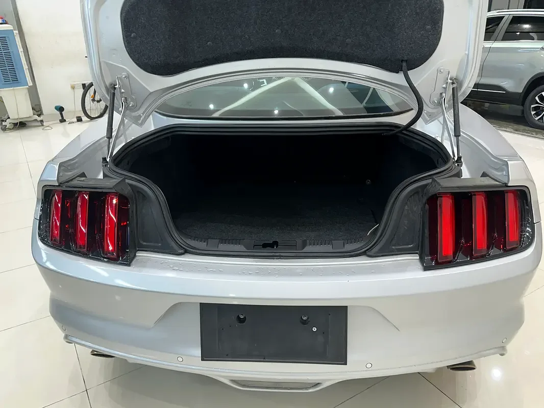 Ford Mustang GT 5.0 AT (466 حصان) - 9