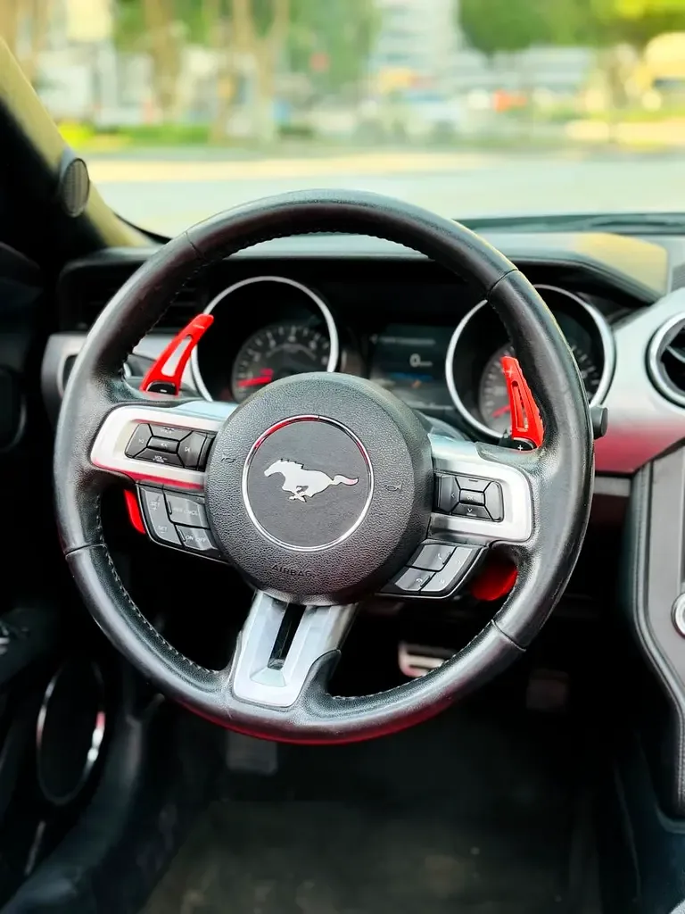 Ford Mustang GT 5.0 AT (466 حصان) - 12
