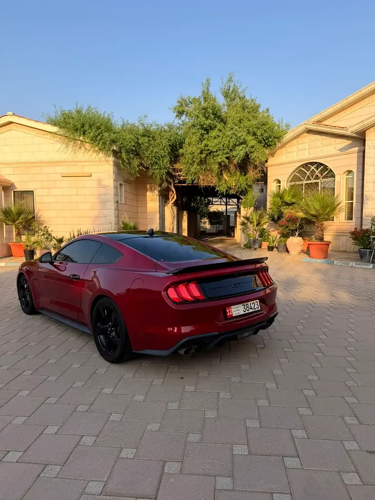 Ford Mustang GT 5.0 AT (466 حصان) - 14