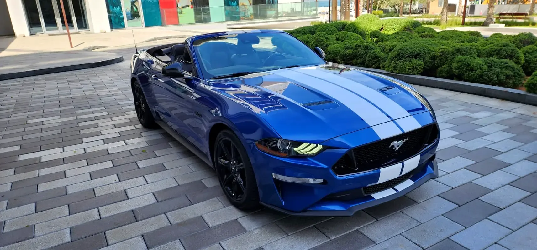 Ford Mustang GT 5.0 MT (466 hp)