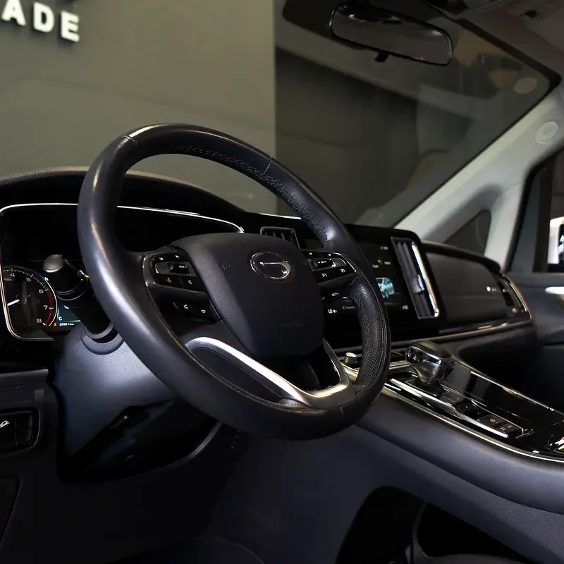 GAC GN8 2.0 AT (190 حصان) - 10